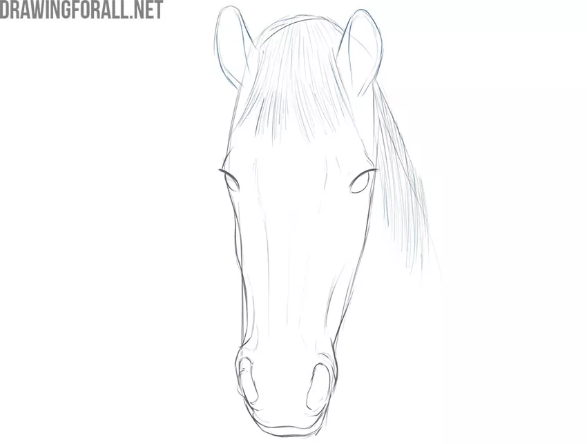 Simple Horse Head Drawing - ClipArt Best - ClipArt Best