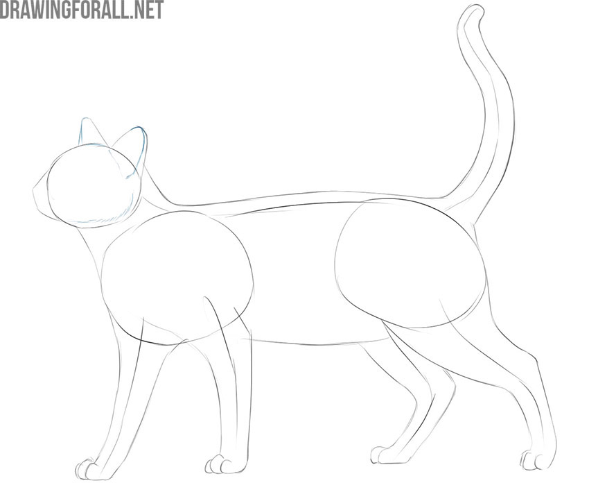 Cat Easy Drawing Step By Step ~ 20 Easy Cat Drawing Step By Step Tutorials Bodegawasues