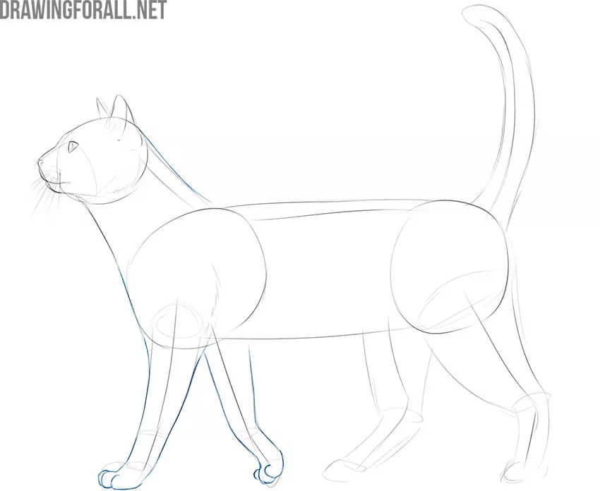How to draw a Cat | Cat drawing Easy - YouTube