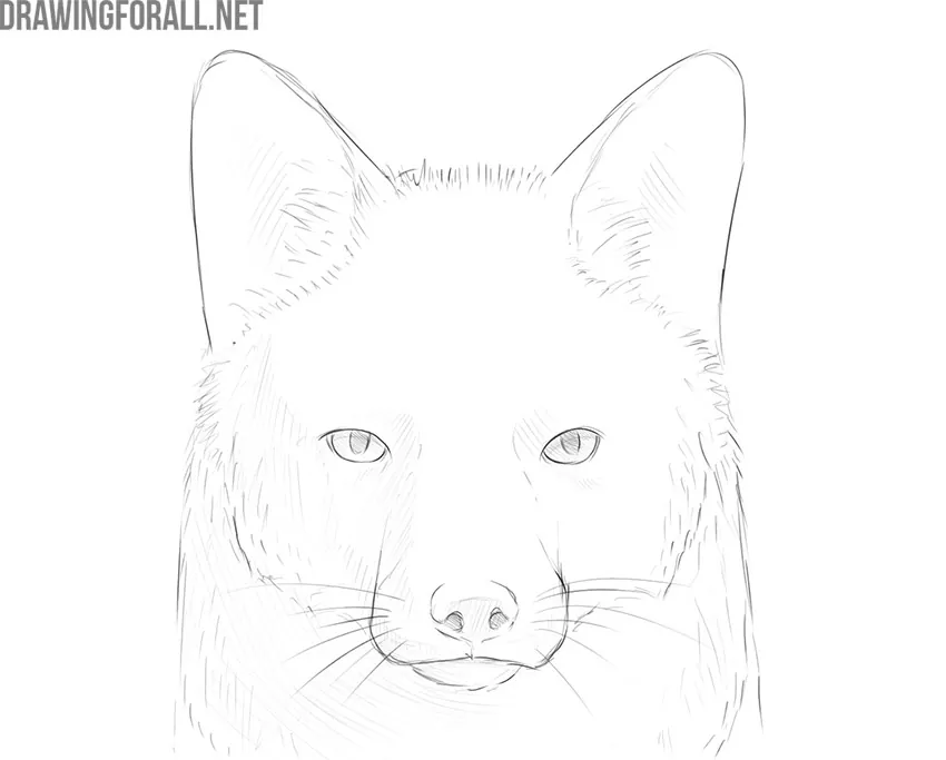 a hyper realistic drawing of a fox as digital art | Stable Diffusion