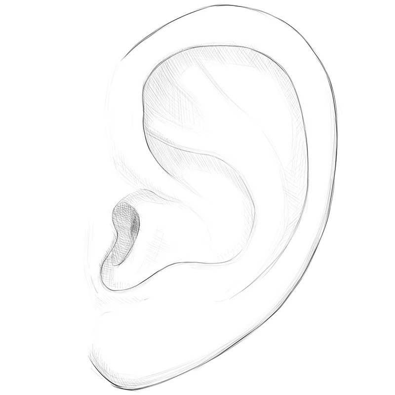 Hand Drawn Ear Sketch Symbol. Vector Listen Element In doodle Style  isoleted on white Stock Vector Image & Art - Alamy