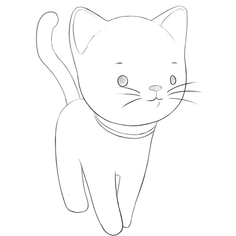 how to draw a cute cartoon cat