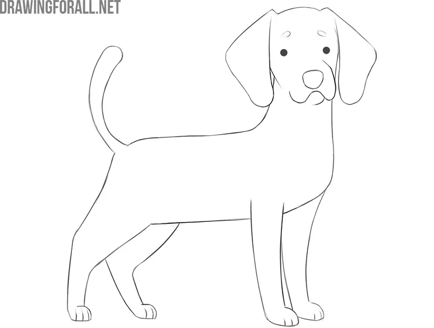 Anime Dog Drawing HighQuality  Drawing Skill