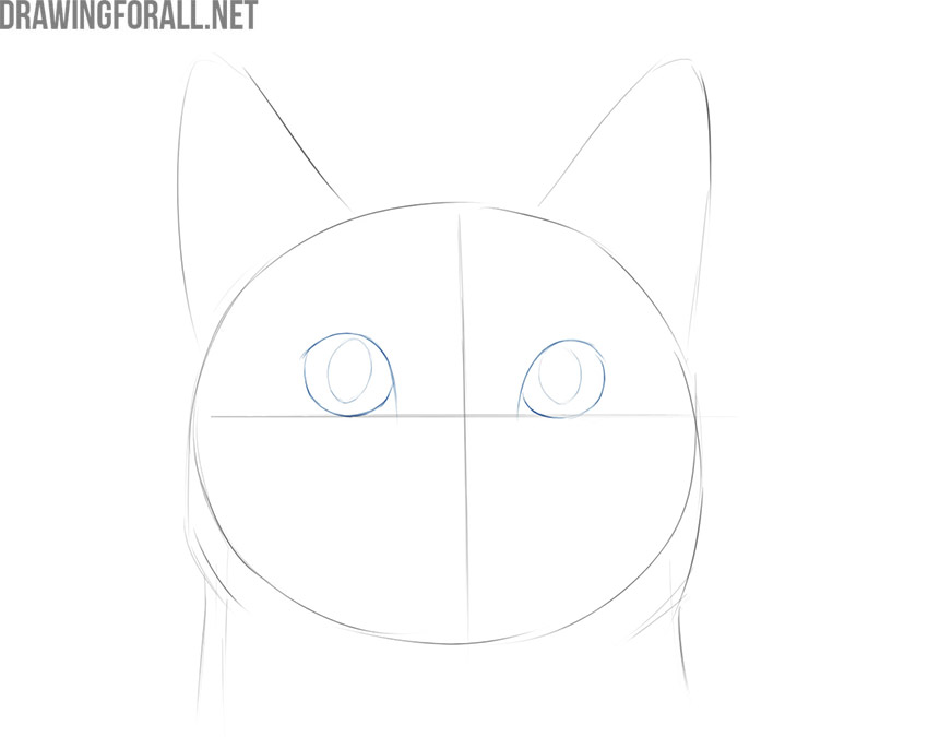 How to Draw a Cat Face