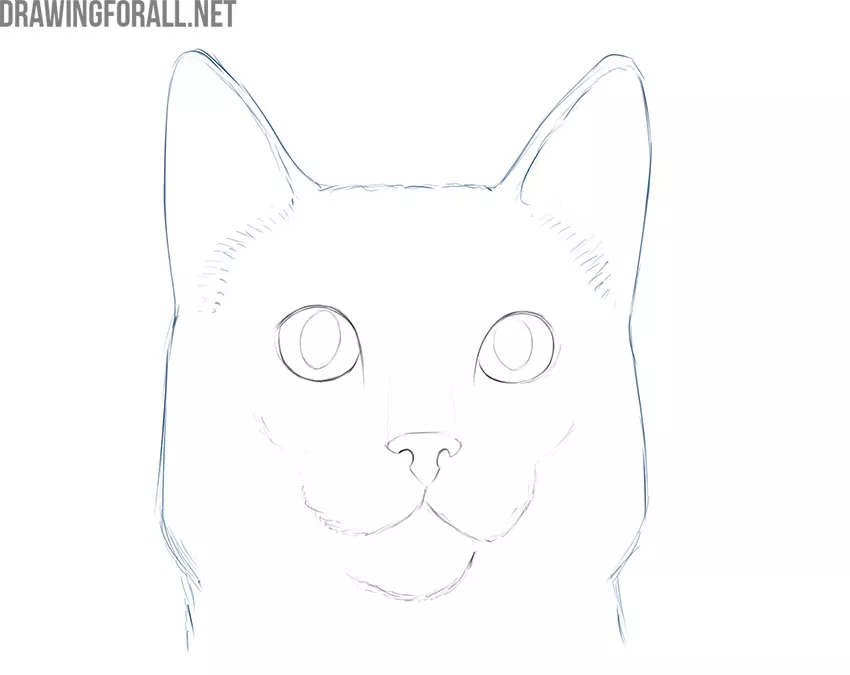 Cat Kitten Line art Cute Cat Face Drawing smiley head cartoon png   PNGWing