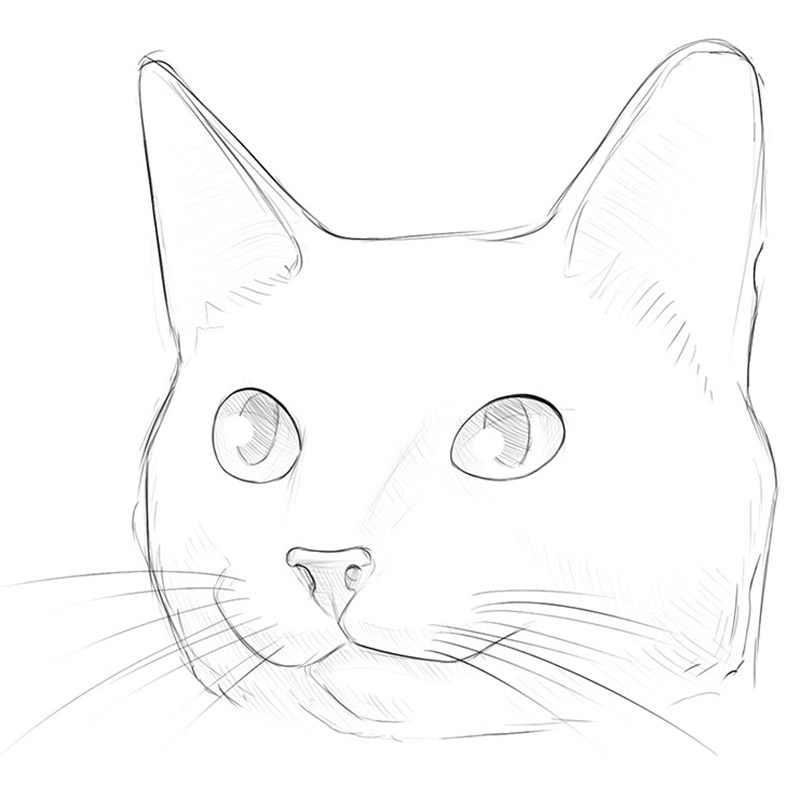 outline cat face drawing - Cat Draw - Posters and Art Prints | TeePublic
