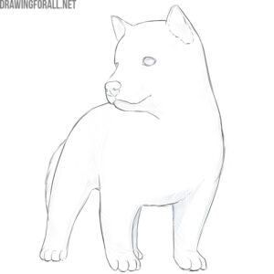 how to draw a cute dog step by step | Drawingforall.net