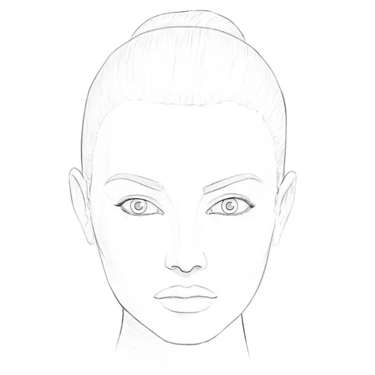 Face Chart Makeup Artist Blank. Beautiful Woman Portrait. Face Chart.  Makeup Artist Blank. Template. Stock Illustration - Illustration of liner,  female: 133824194