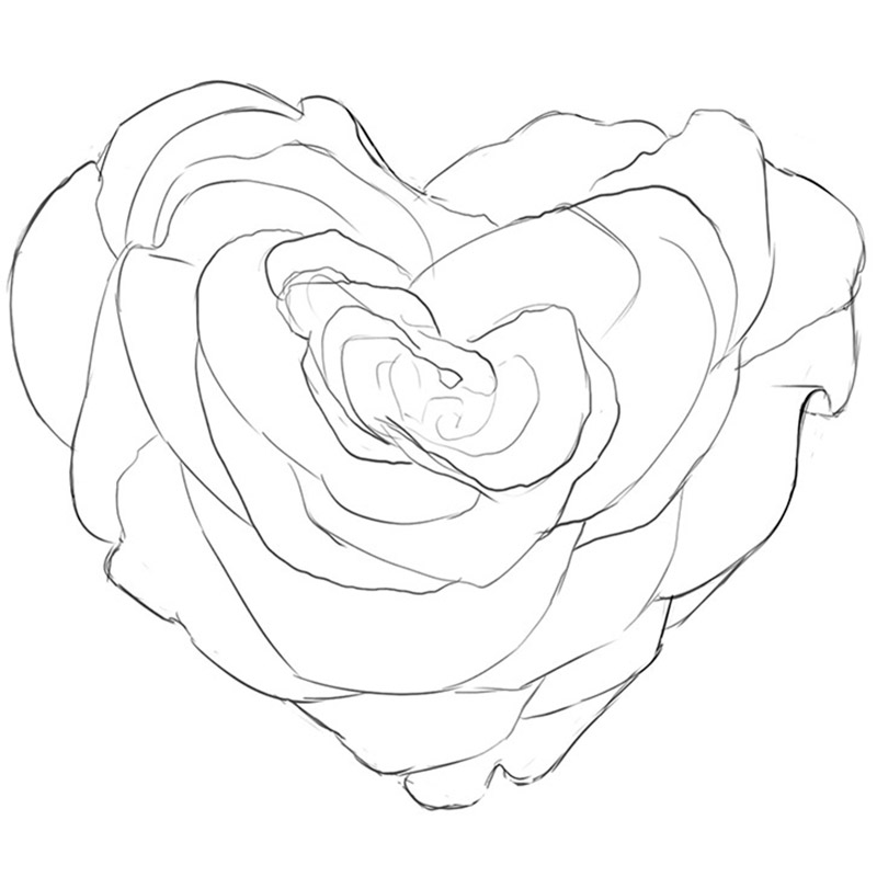 how to draw a rose with a heart step by step