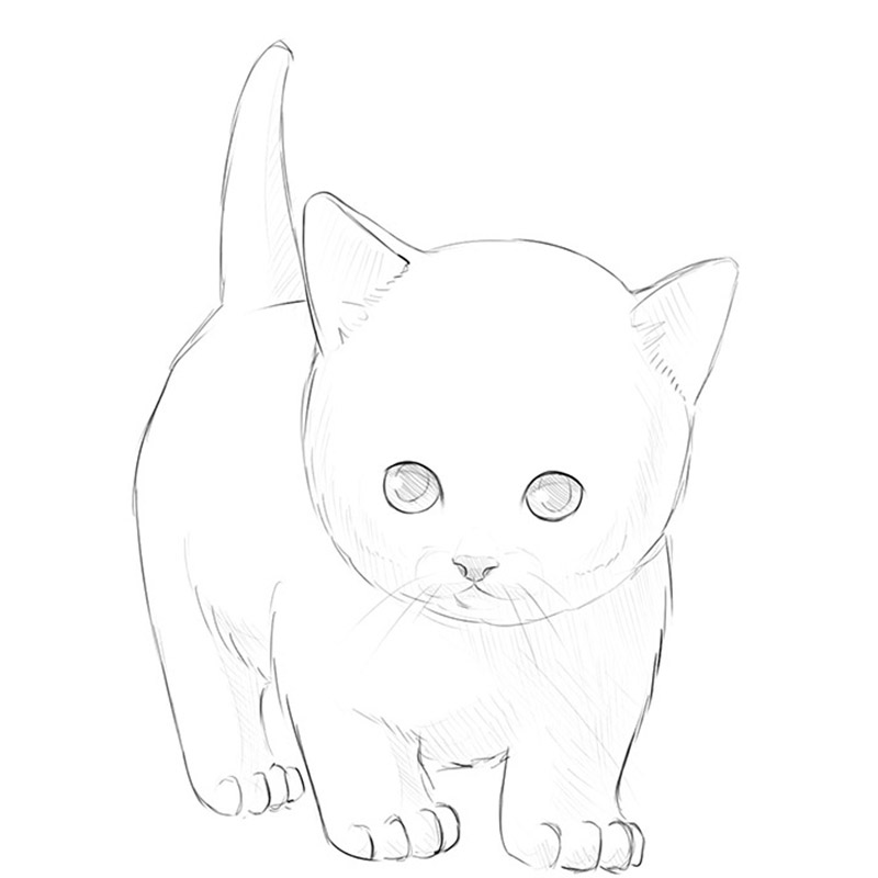 small cat drawing easy