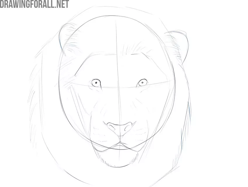 Premium Vector | Lion portrait sketch hand drawn engraving style vector  illustration.
