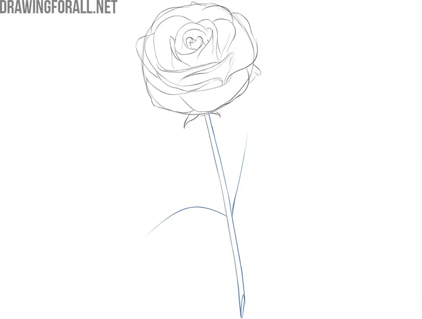 bouquet of roses drawing 3d. Generative AI - Stock Illustration [98555166]  - PIXTA