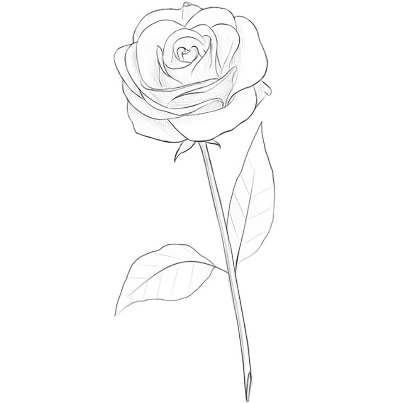 Rose flower drawing easy Adult sip and paint svg Rose sketch
