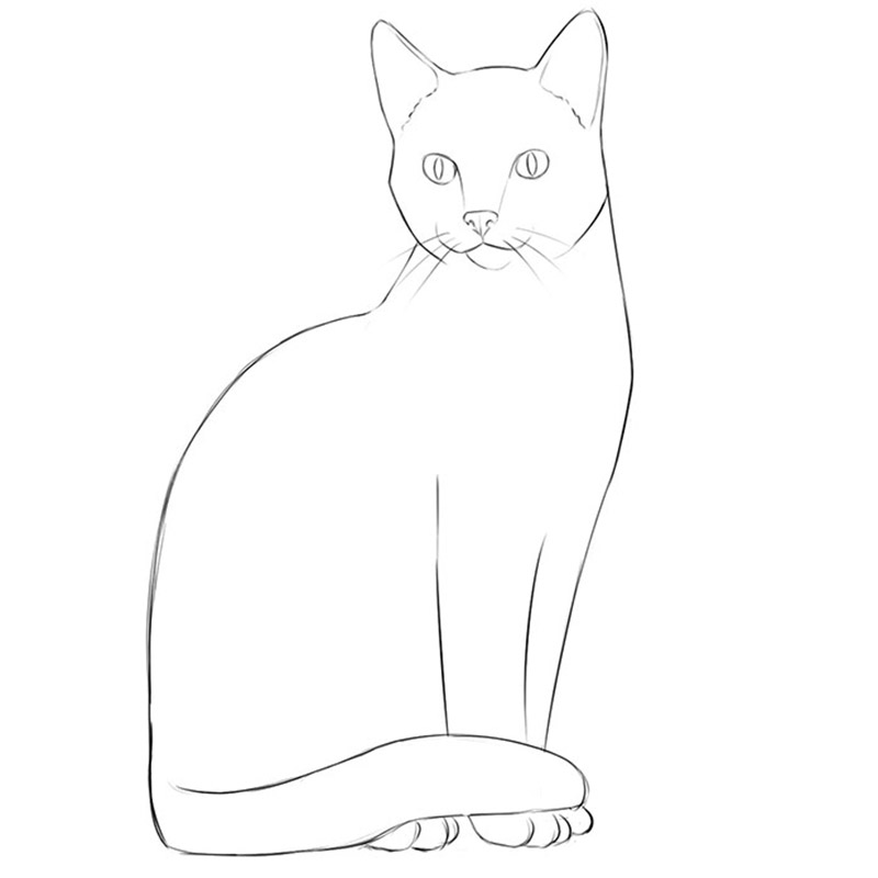 outline drawing of cat