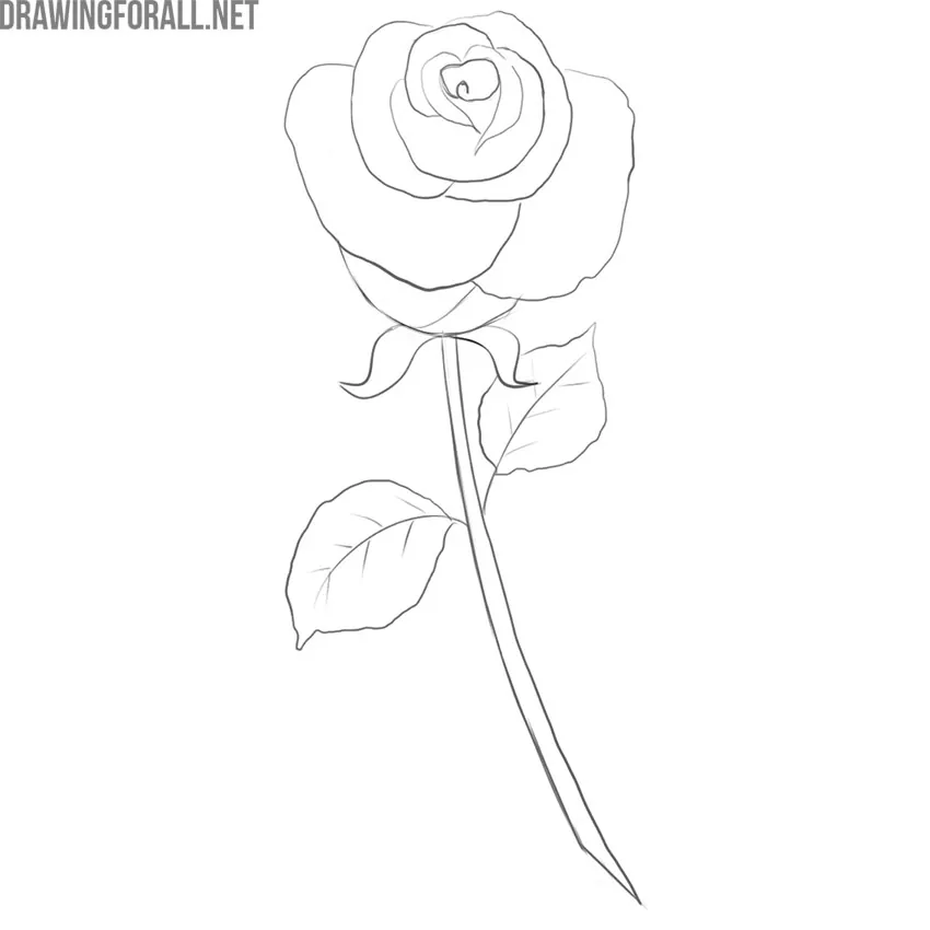 Black Paper Rose Sketch Size A3