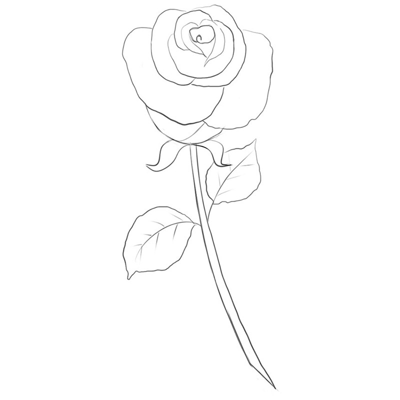 Rose With Leaves Is Drawn In Black And White Coloring Pages Outline Sketch  Drawing Vector, Rose Drawing, Leaves Drawing, Wing Drawing PNG and Vector  with Transparent Background for Free Download
