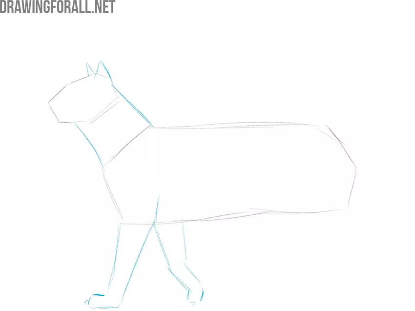 easy pictures to draw of animals